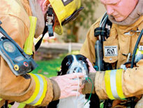 lifealert saves pet from fire